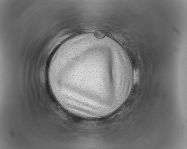 X0000113590291200910091505