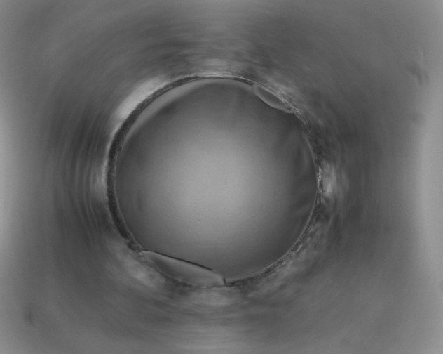 X0000113590292200910091505