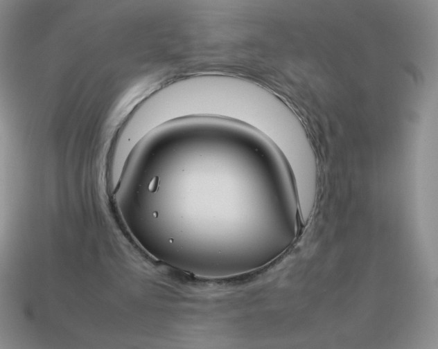 X0000113590293200910091505