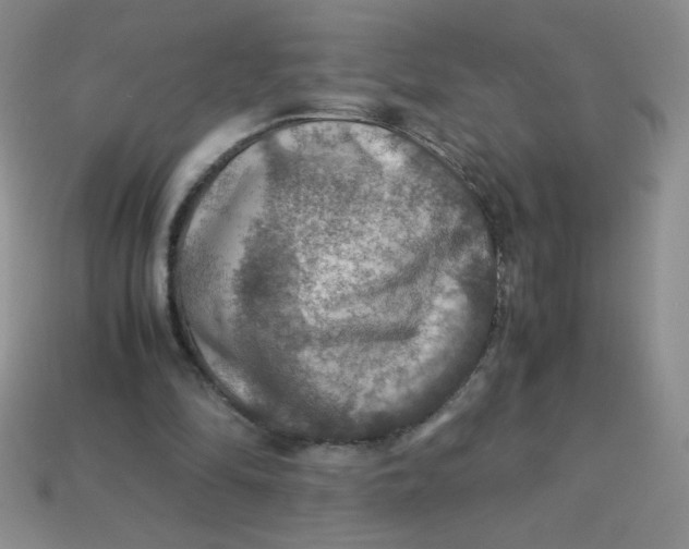 X0000113590294200910091505