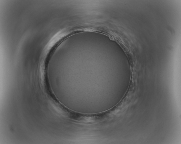 X0000113590295200910091505