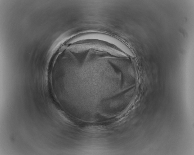 X0000113590296200910091505