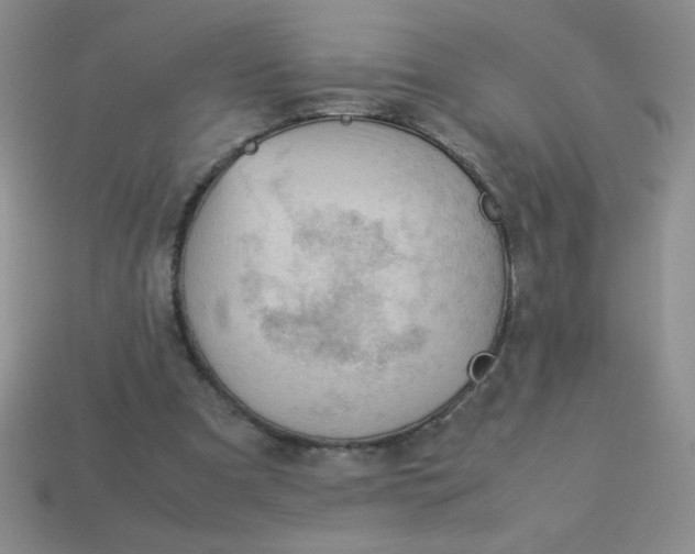 X0000113590297200910091505