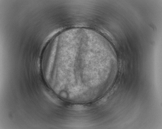 X0000113590298200910091505