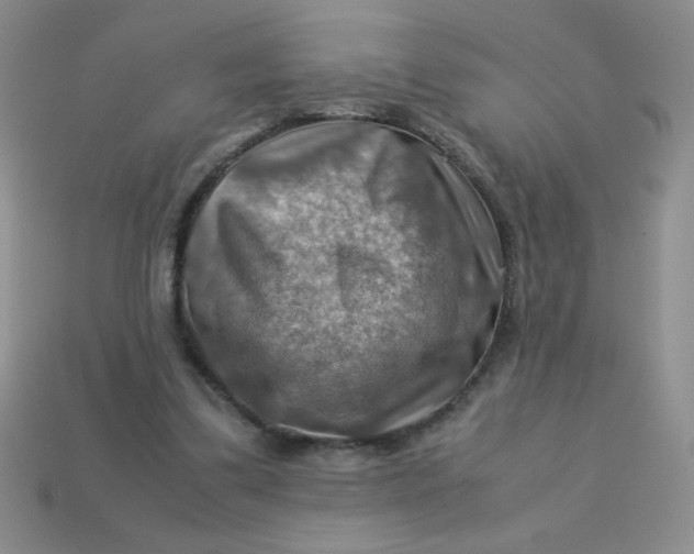 X0000113590299200910091505