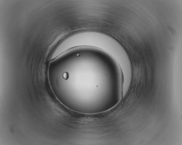 X0000113590300200910091505