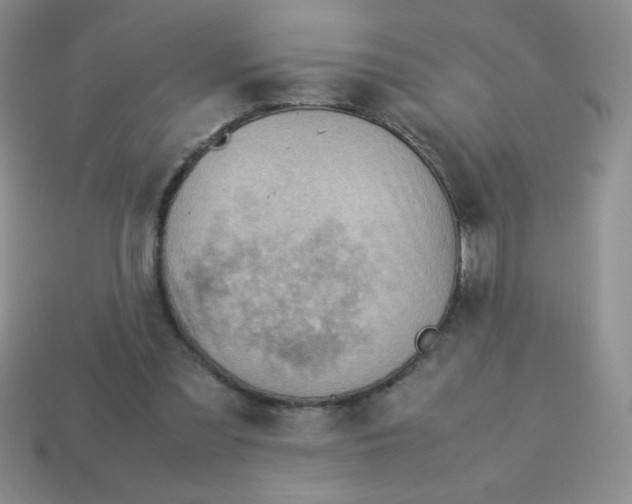 X0000113590301200910091505