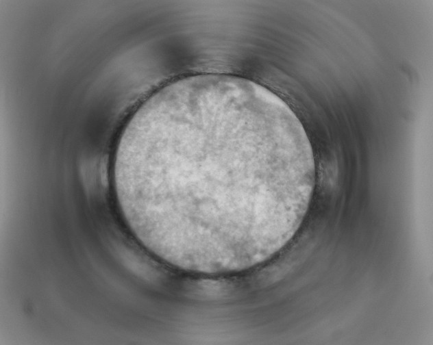 X0000113590302200910091505