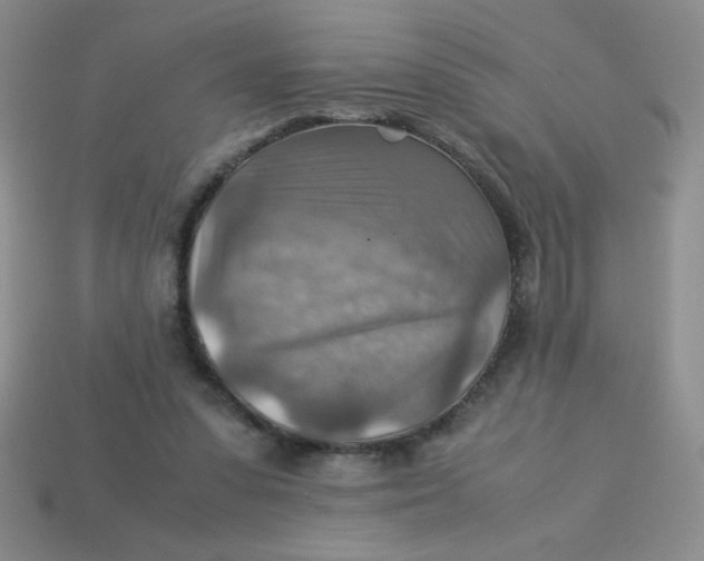 X0000113590303200910091505