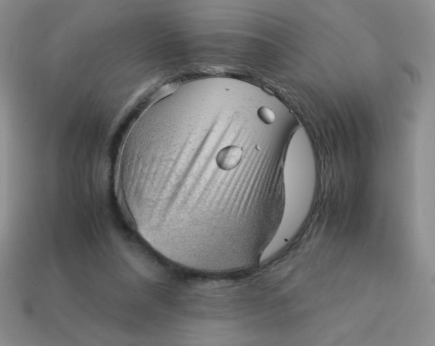 X0000113590304200910091505