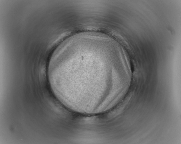 X0000113590306200910091505