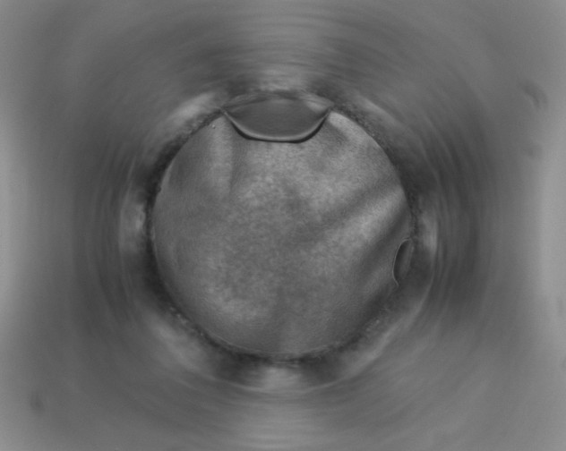 X0000113590308200910091505