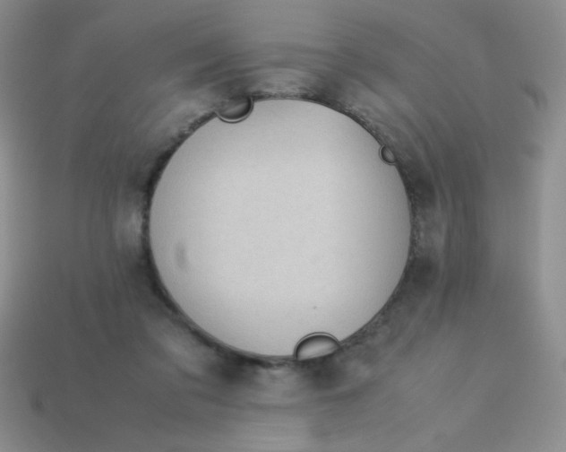 X0000113590309200910091505