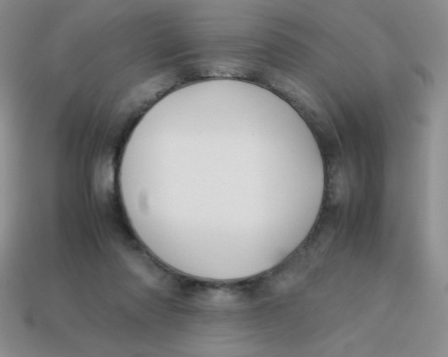 X0000113590310200910091505