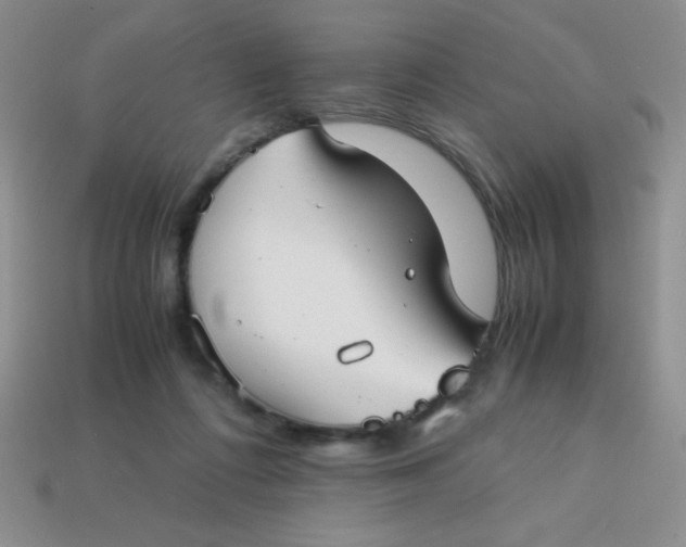 X0000113590312200910091505