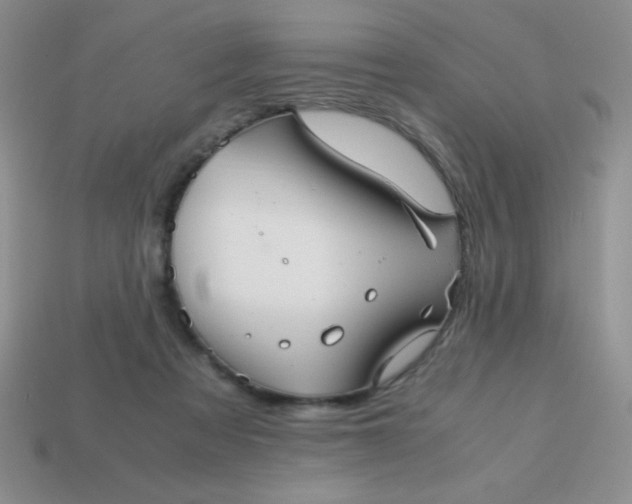 X0000113590313200910091505