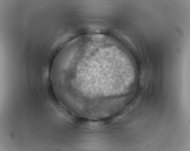 X0000113590314200910091505