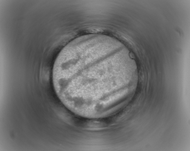 X0000113590315200910091505