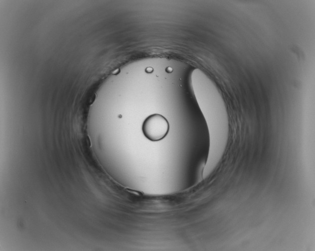 X0000113590316200910091505