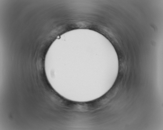 X0000113590317200910091505