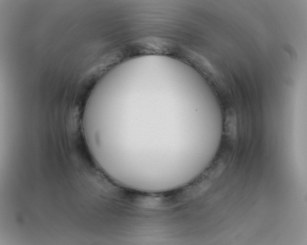 X0000113590318200910091505