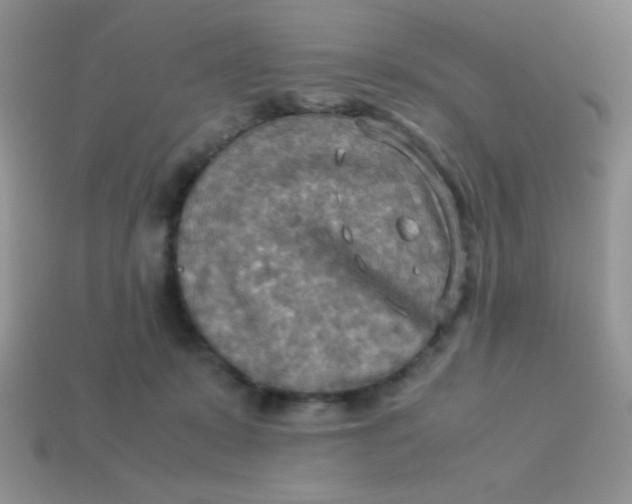 X0000113590319200910091505