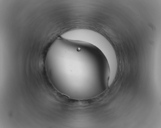 X0000113590320200910091505