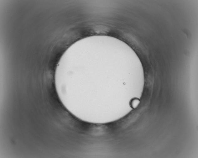 X0000113590321200910091505