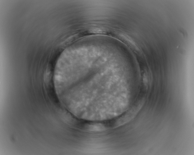 X0000113590322200910091505