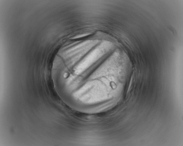 X0000113590324200910091505