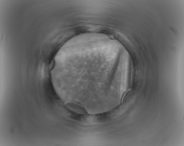 X0000113590325200910091505