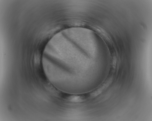 X0000113590326200910091505