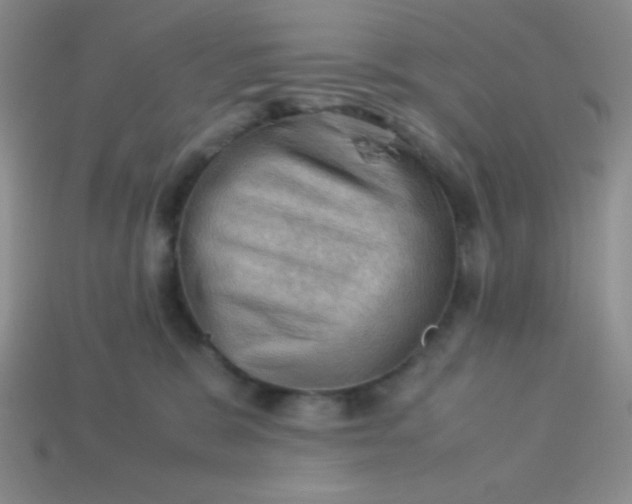 X0000113590327200910091505