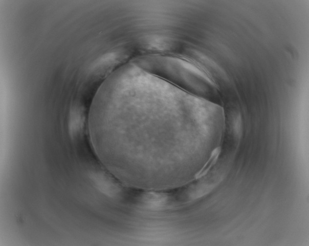 X0000113590328200910091505