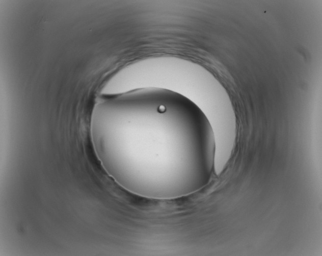 X0000113590329200910091505