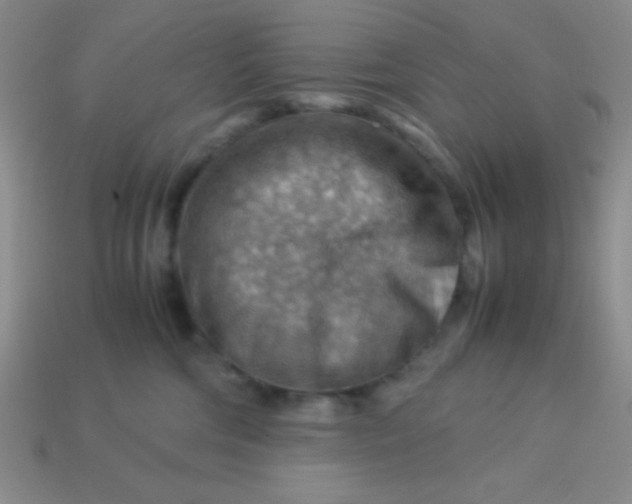 X0000113590330200910091505