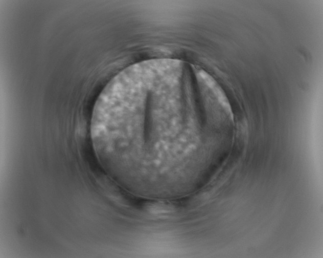 X0000113590331200910091505