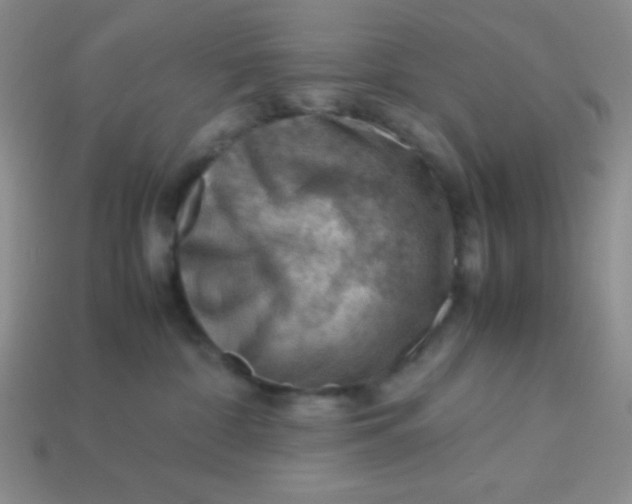 X0000113590332200910091505