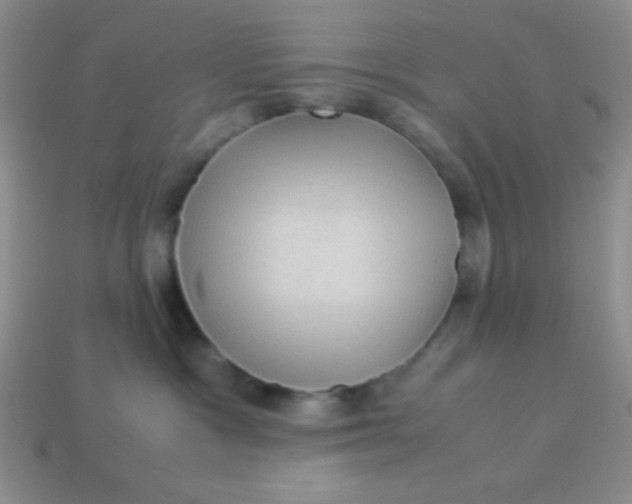 X0000113590333200910091505