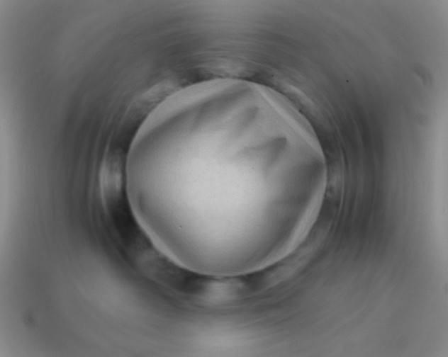 X0000113590334200910091504