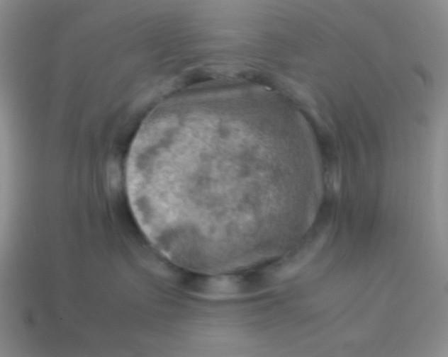 X0000113590335200910091504