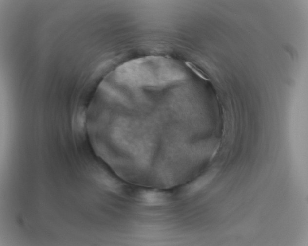 X0000113590336200910091504