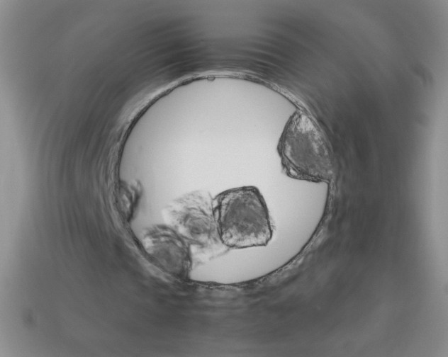 X0000113590337200910091504