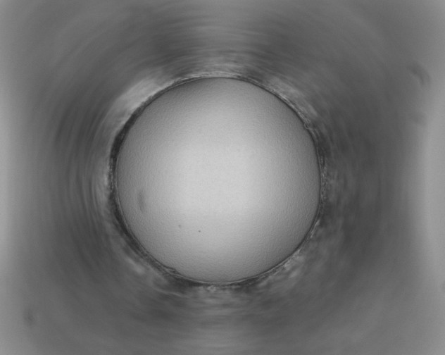 X0000113590338200910091504