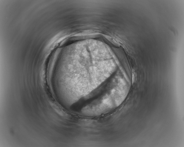 X0000113590339200910091504