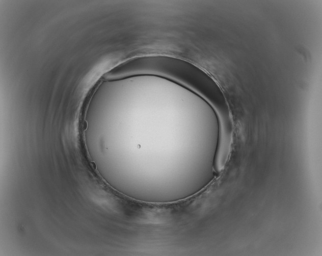 X0000113590340200910091504