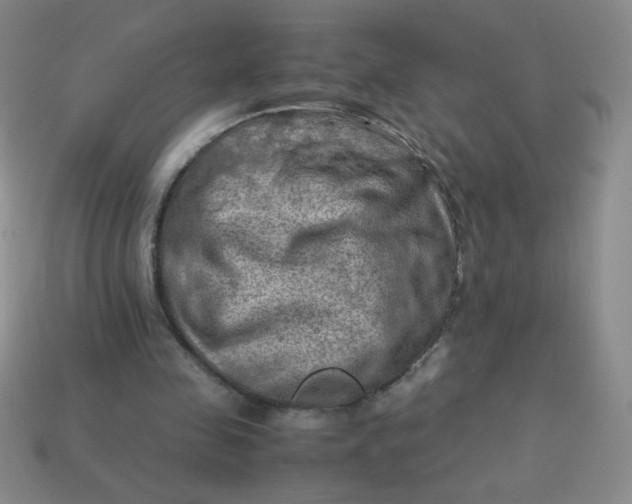 X0000113590341200910091504