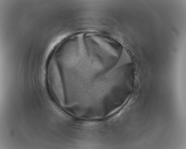 X0000113590342200910091504