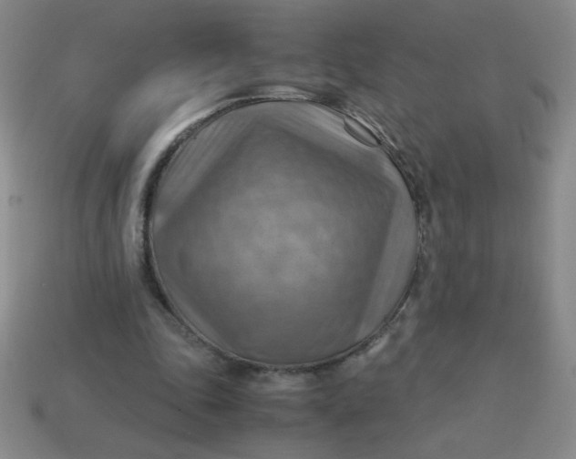 X0000113590343200910091504