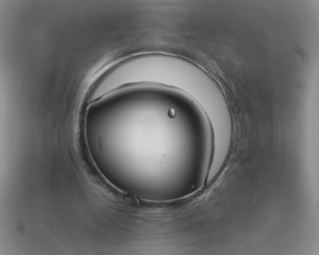 X0000113590344200910091504